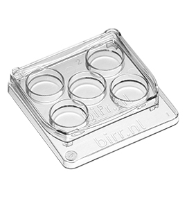 5-Well Dish