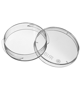 Culture Dish 60 mm