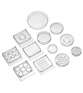 Dishes