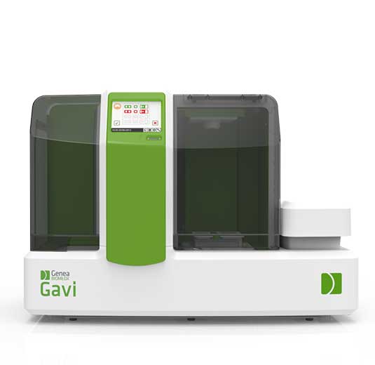 Gavi