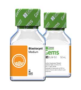 Blastocyst Medium